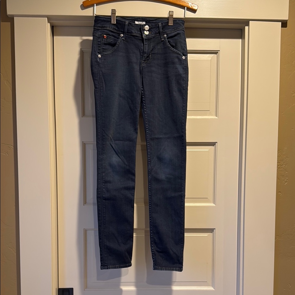 Hudson Jeans Blue Skinny Jeans